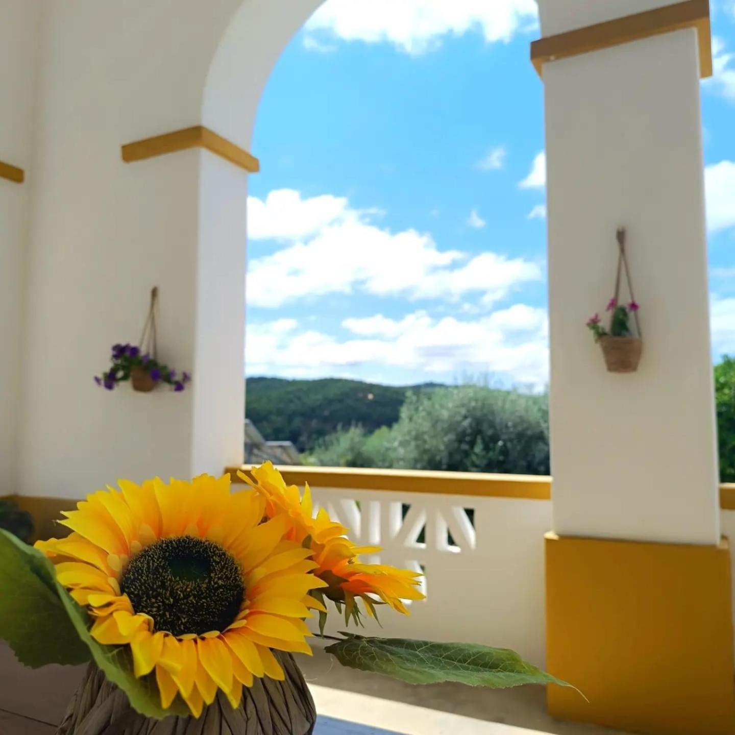 Casa Da Praia Do Ribatejo Экстерьер фото